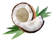 coconut oil